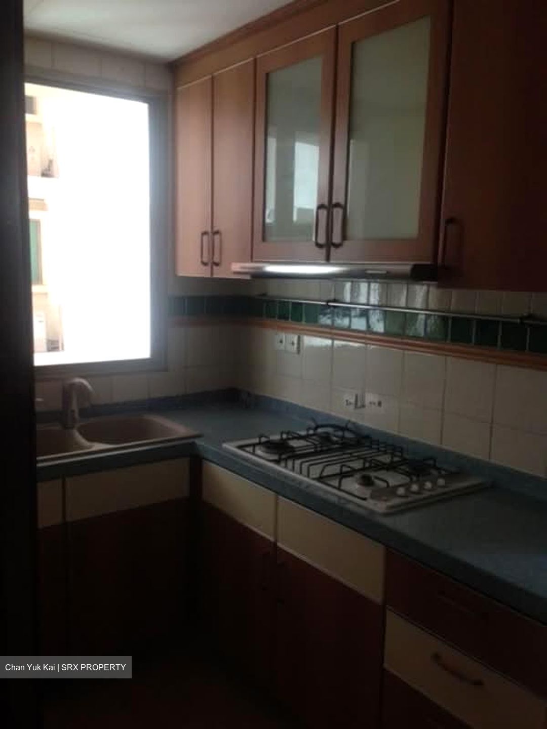 The Rivervale (D19), Condominium #561975931